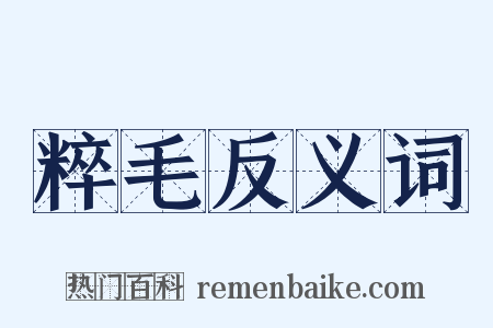 粹毛反义词是什么意思的图片